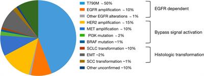 Development of EGFR TKIs and Options to Manage Resistance of Third-Generation EGFR TKI Osimertinib: Conventional Ways and Immune Checkpoint Inhibitors